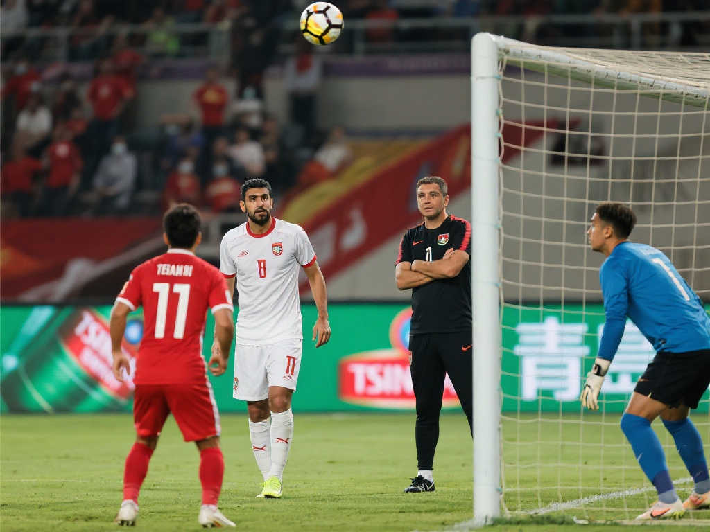 随着调查的 随着调查的